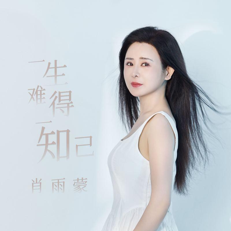 一生难得一知己 (伴奏)封面