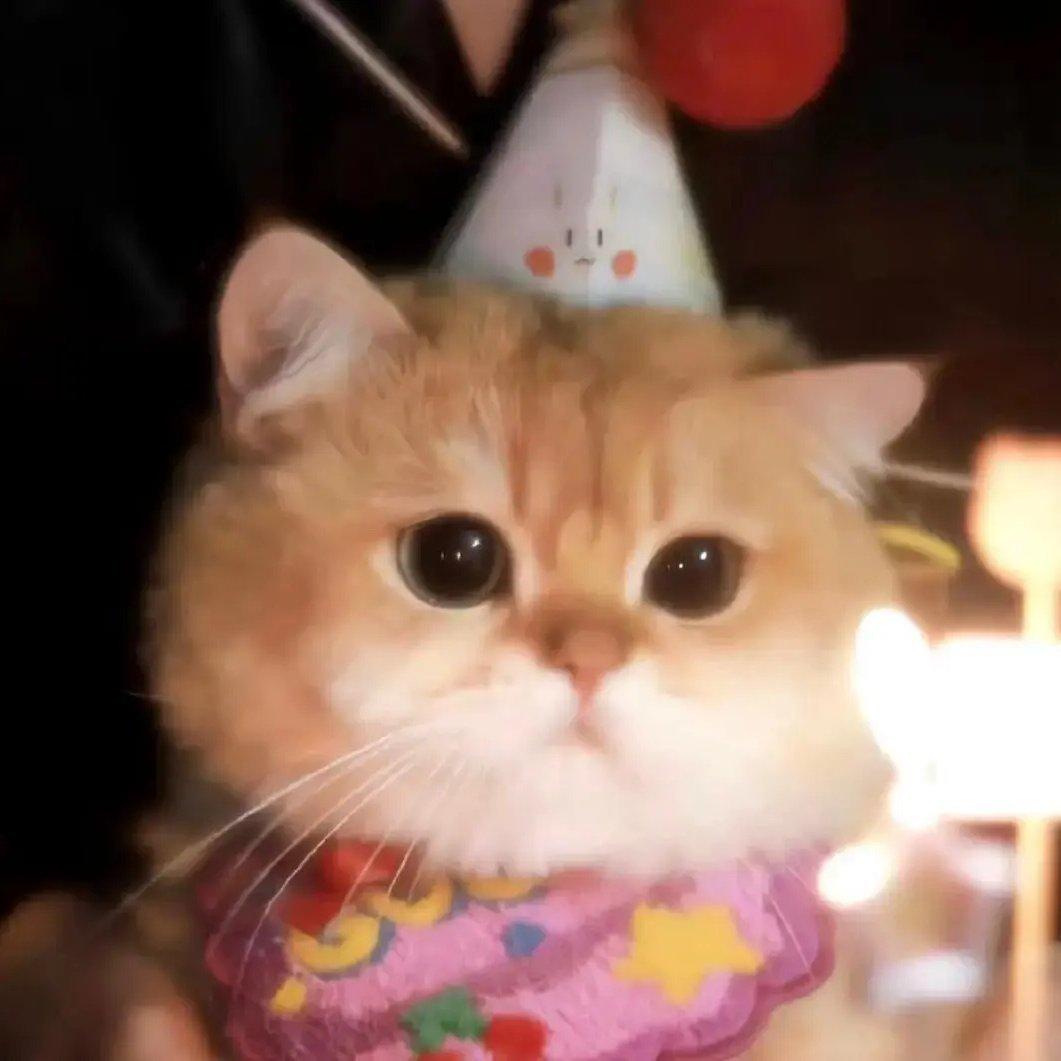 用一念时间看海