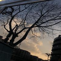 润