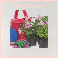 The Tin Lizzy