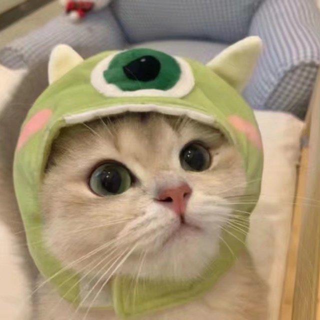 吉良吉墩想过平静生活