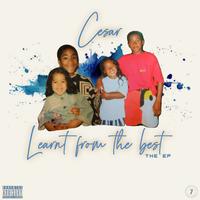 Learnt from the Best