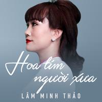 Hoa tím người xưa - Lâm Minh Thảo