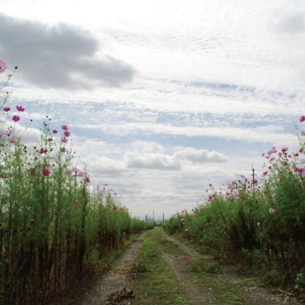 放松心情，安然入睡(慢节奏自然音纯音乐)