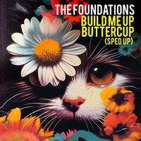 Build Me Up Buttercup (Re-Recorded - Sped Up)