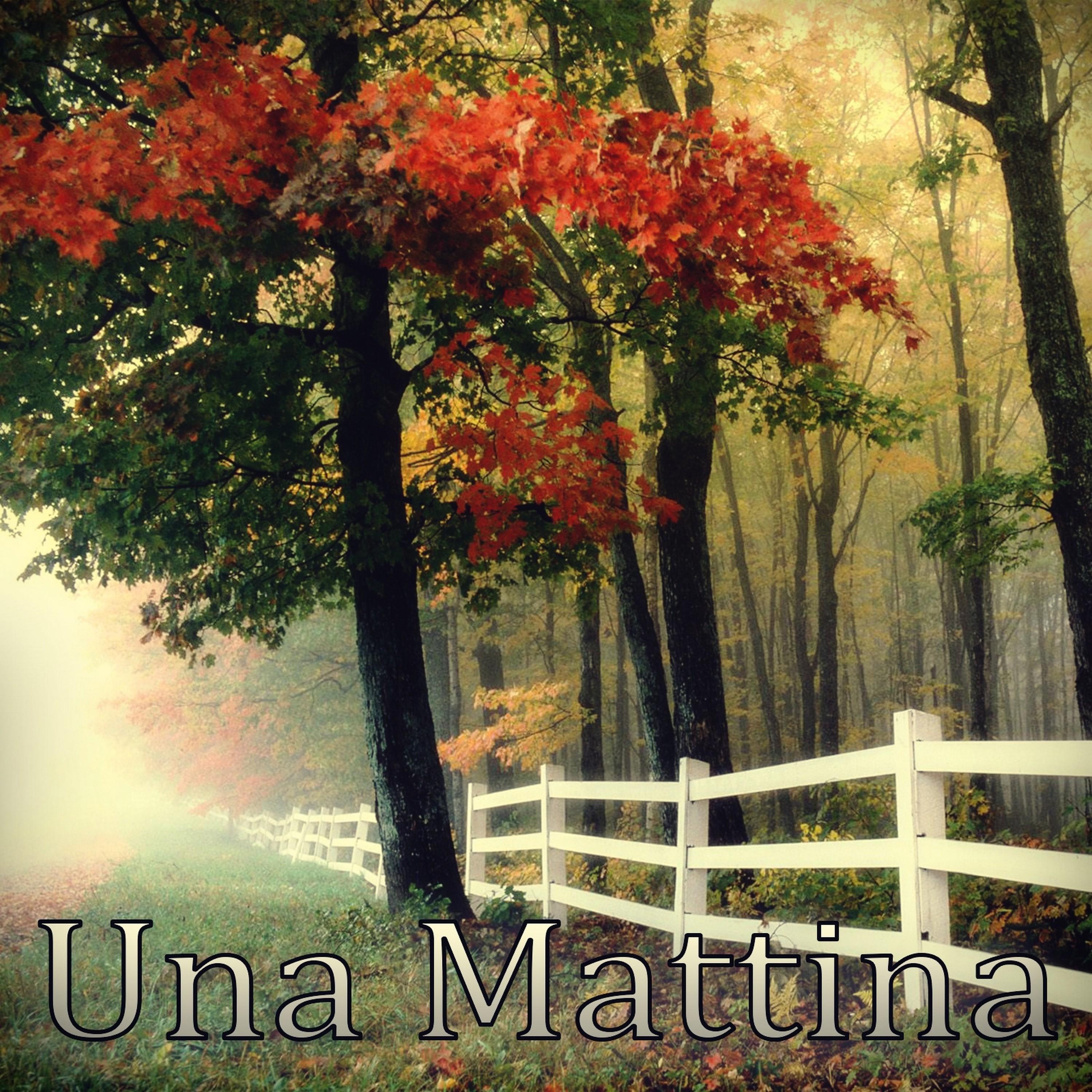 Una Mattina Long (Long Version)