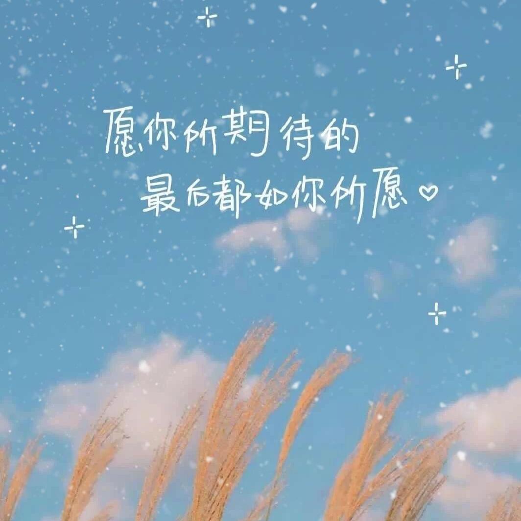殿书 - 灰虹cium封面