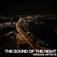 The Sound of the Night