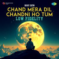 Chand Mera Dil Chandni Ho Tum - Low Fidelity