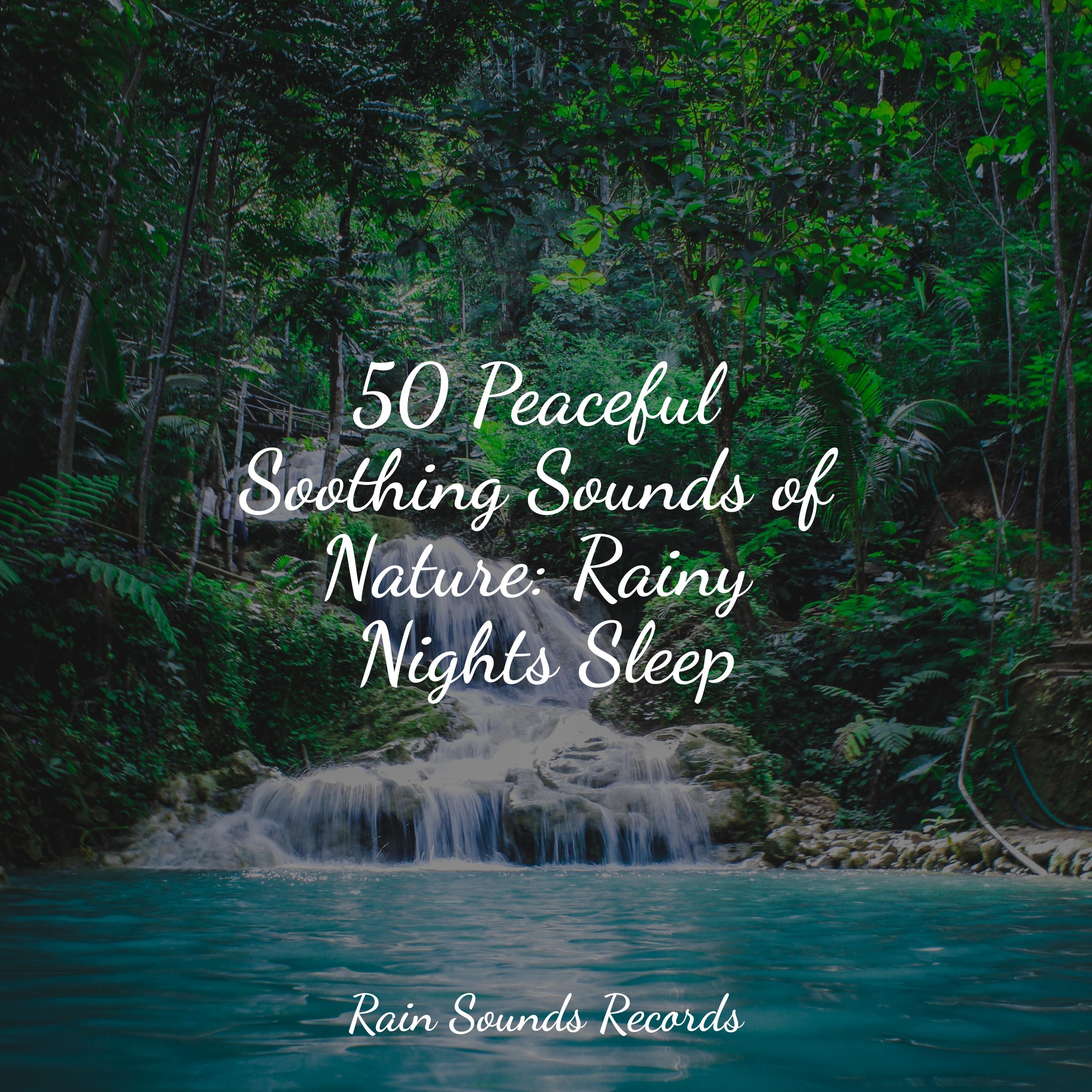 50 Peaceful Soothing Sounds of Nature: Rainy Nights Sleep - Relaxing ...