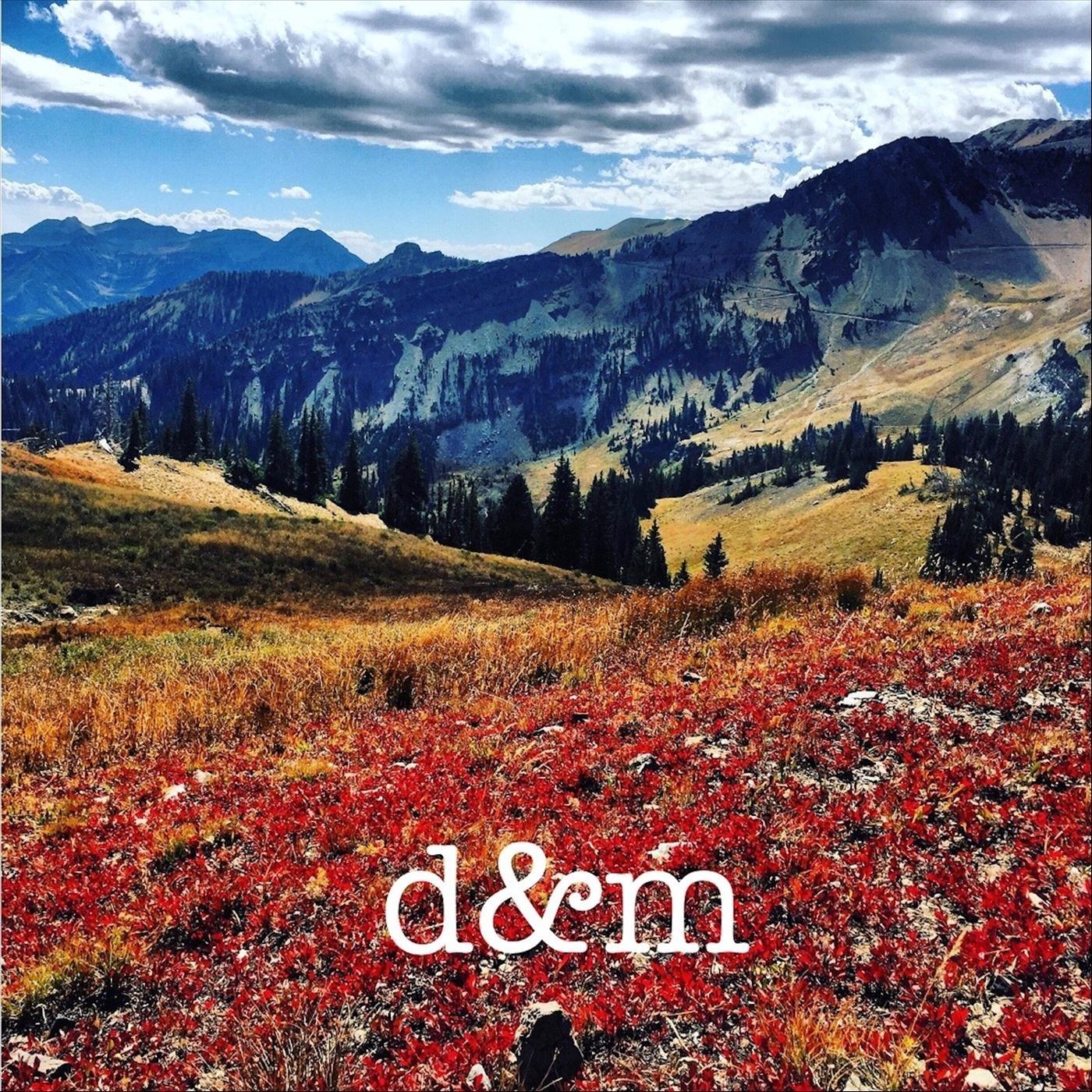 Summer Leads the Way