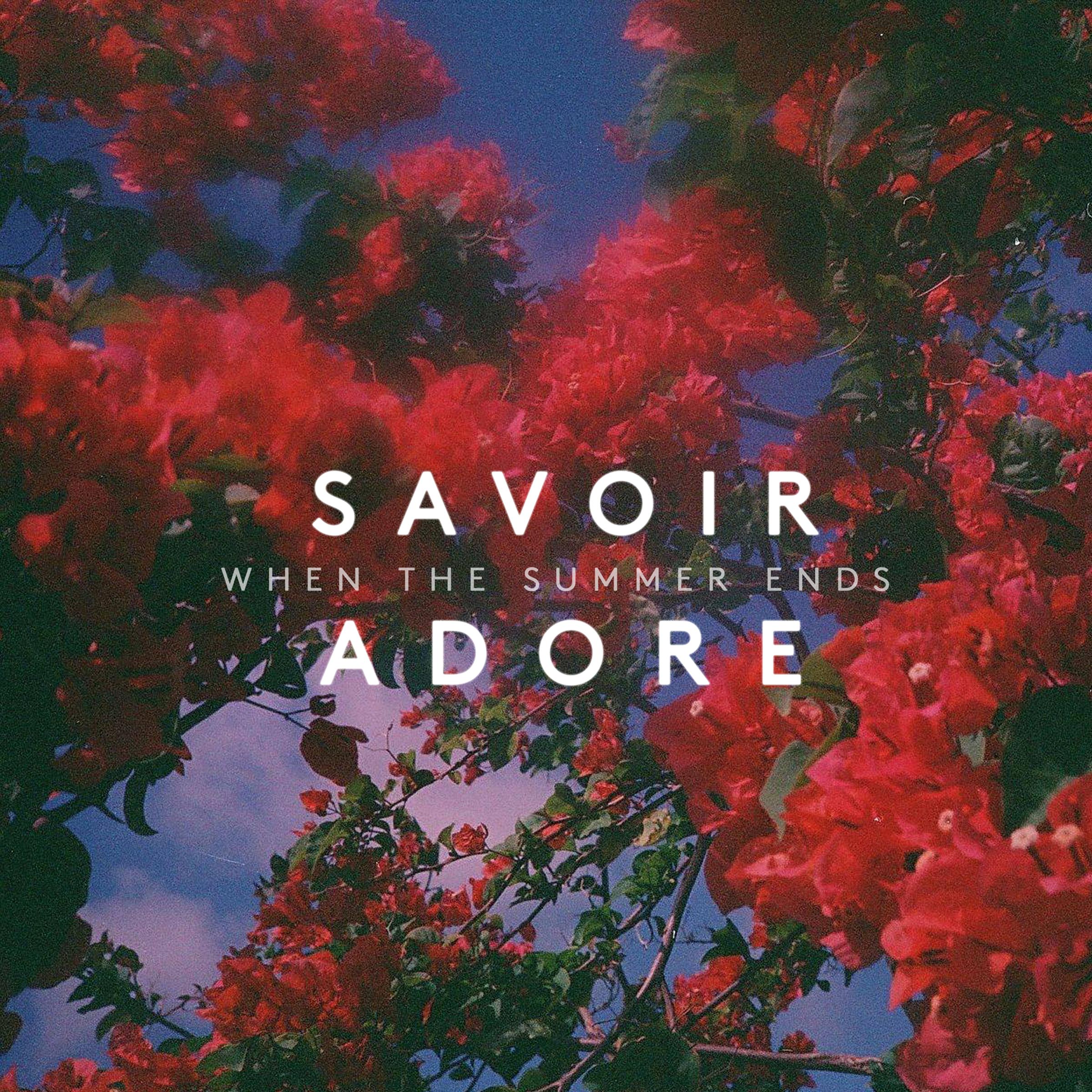 When the Summer Ends Savoir Adore 单曲 网易云音乐
