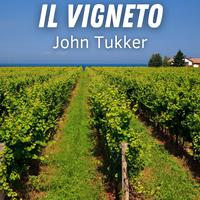 Il Vigneto