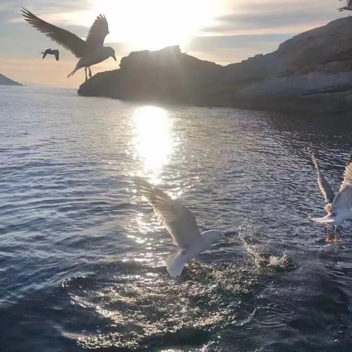 Yêu 5 (Tuanxeo Mix)