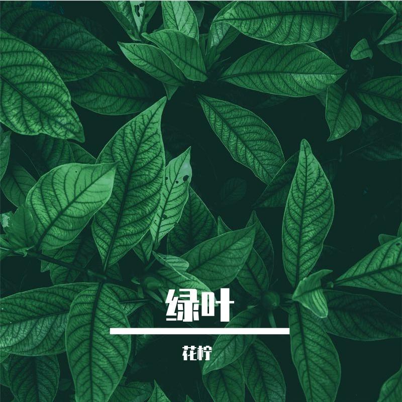 诉衷情 伴奏封面