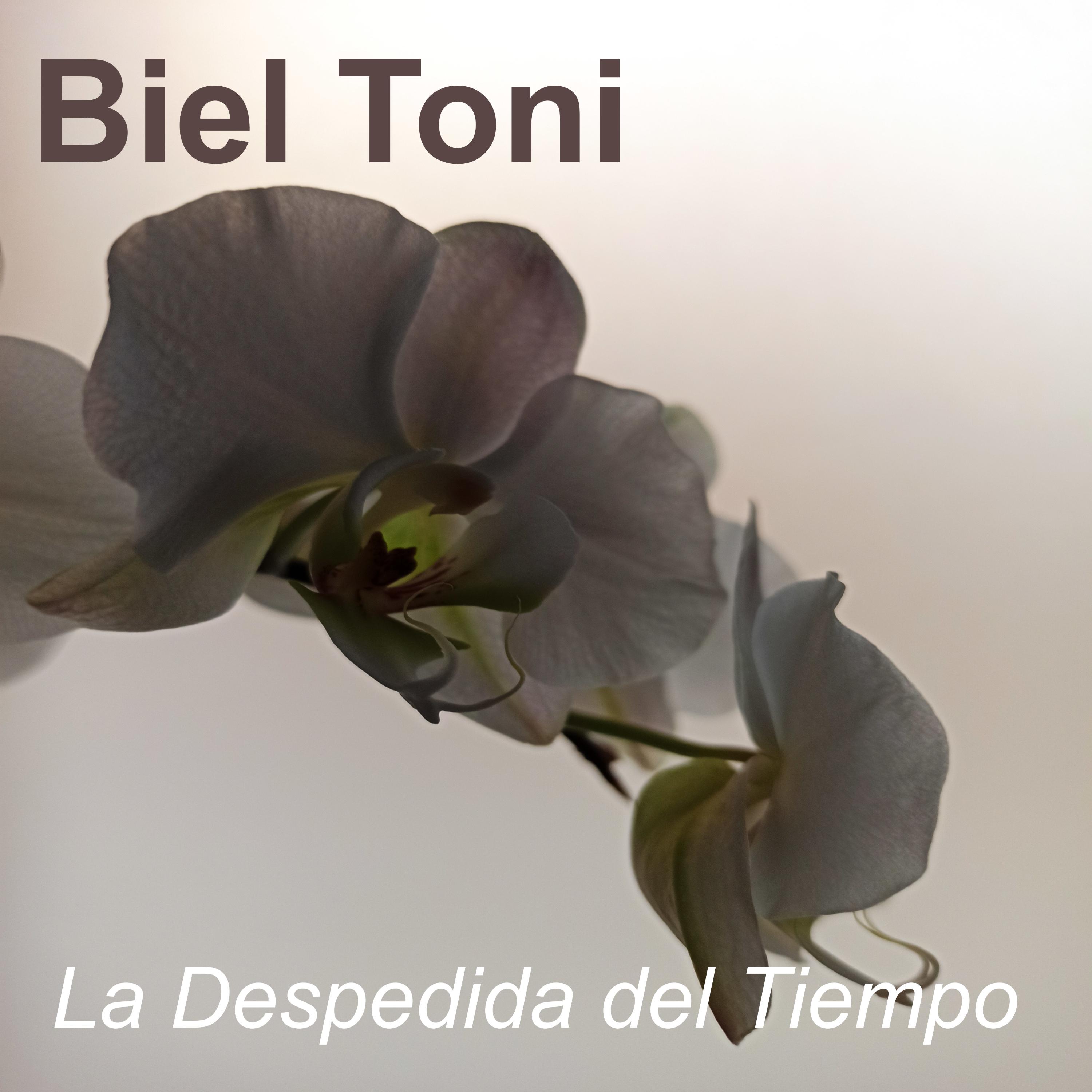 生成外链播放器点击打开客户端la despedida del tiempo歌手：biel toni所