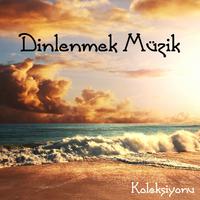 Dinlenmek Müzik Koleksiyonu: Meditasyon, Yoga, Uyku, Doğa Sesleri, ve Spor Sesler Rahatlatıcı Melodileri