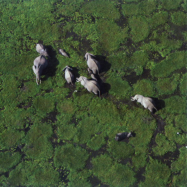 鸟瞰地球Vu du Ciel