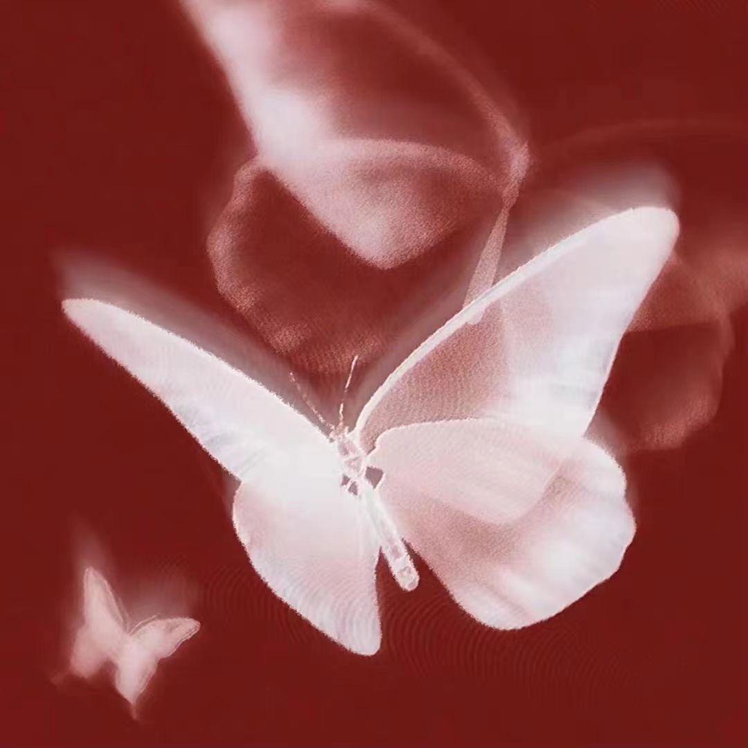 刺（Prod by HvrtzLab）