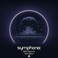 True Reality (W.A.D Remix)