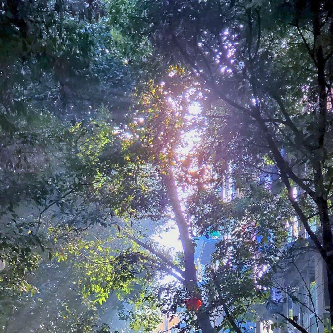 风铃童话封面