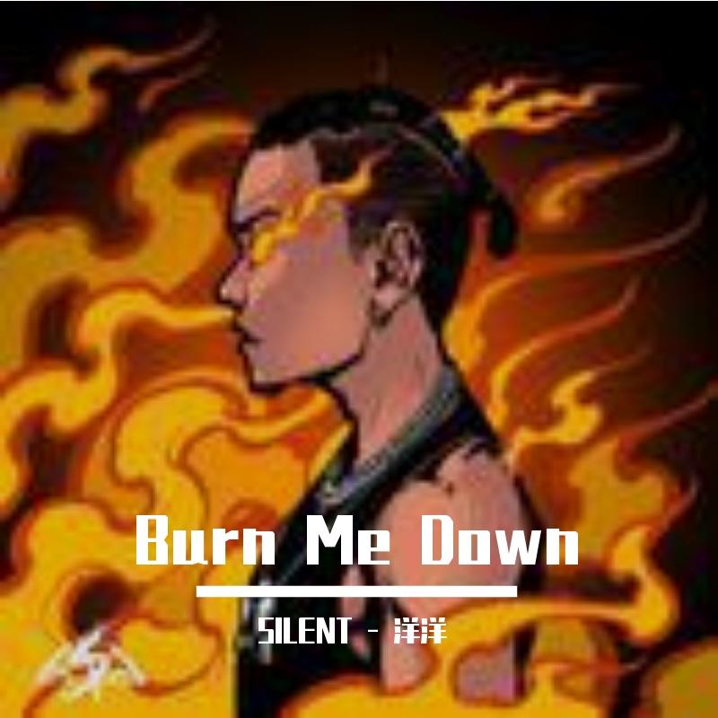 Burn Me Down （SILENT - 洋洋 Remix）封面