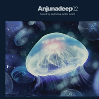 Anjunadeep 02: Mixed By Jaytech & James Grant