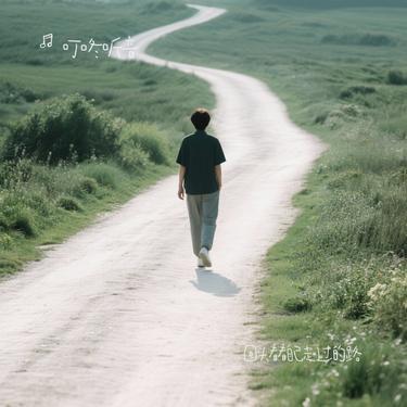 回头看看自己走过的路 (Cover 田园)封面