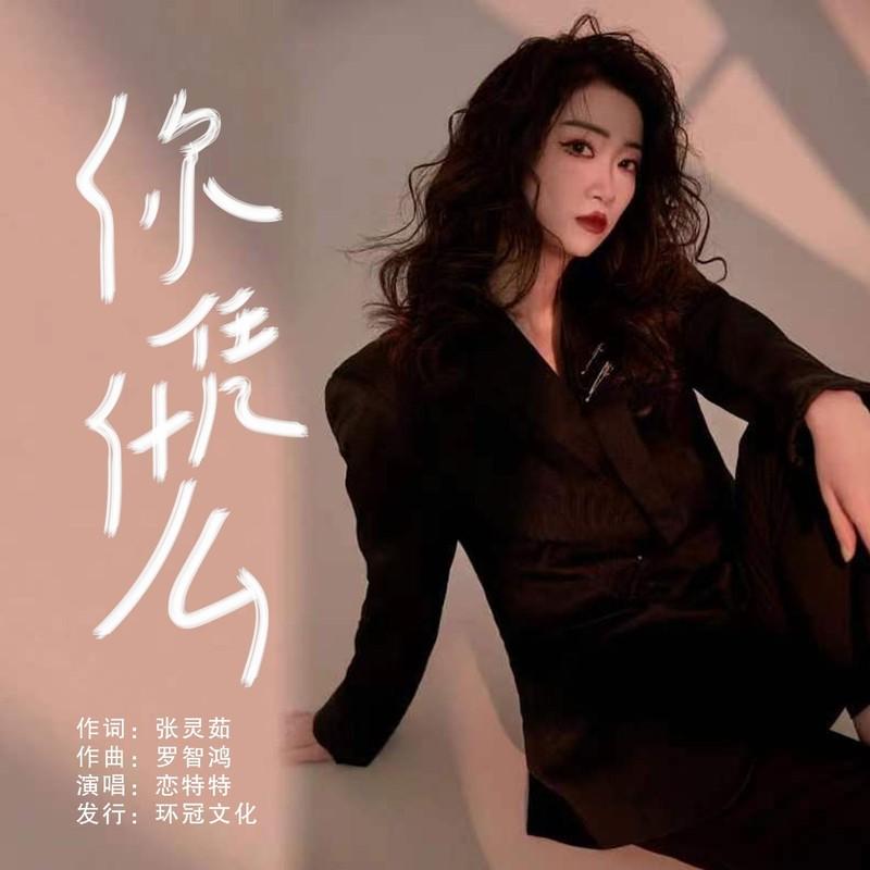 你凭什么 (Live)封面