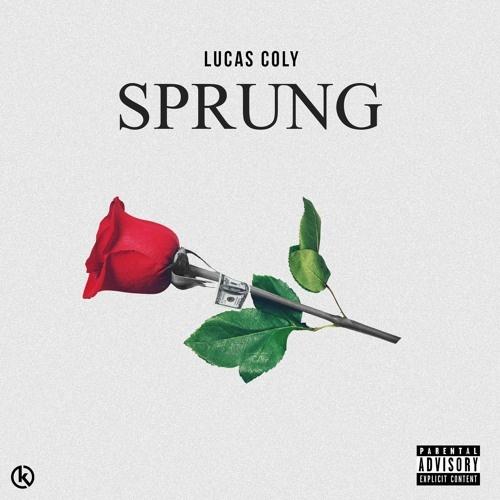 Sprung_Lucas Coly_Sprung | 在线播放_Sprung歌词_Sprung下载 | 网易云音乐