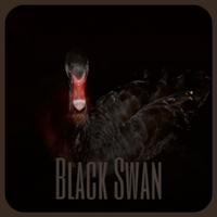 Black Swan