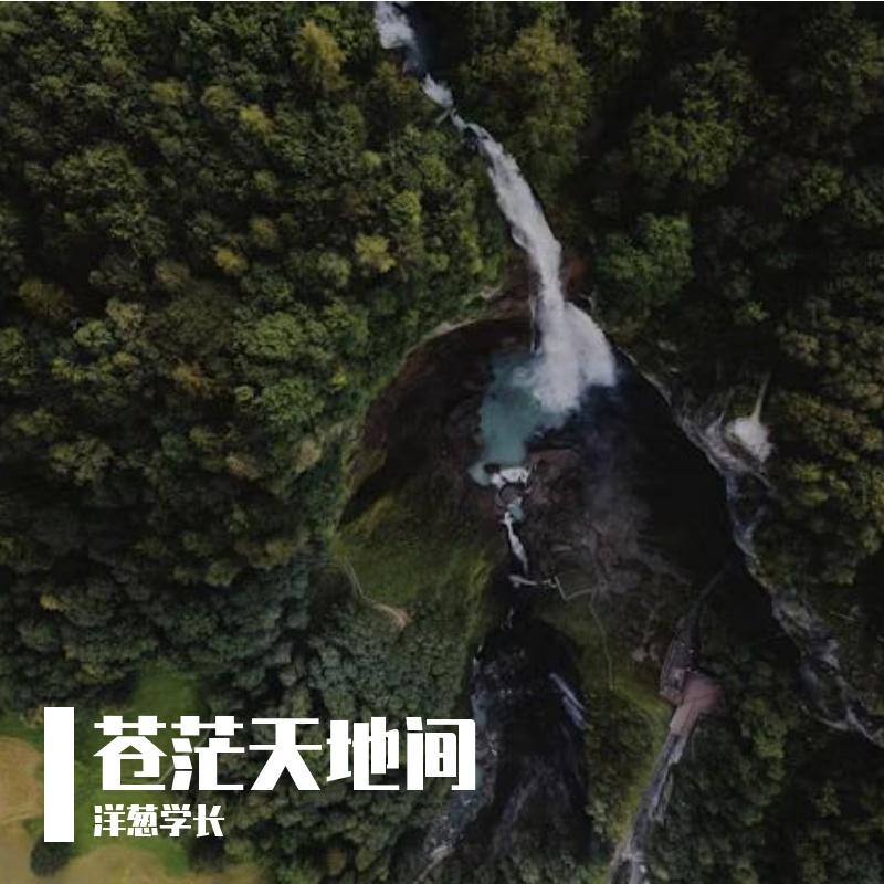 白沙滩封面