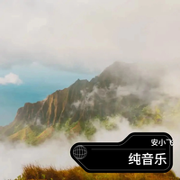纯音乐专辑