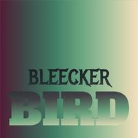 Bleecker Bird