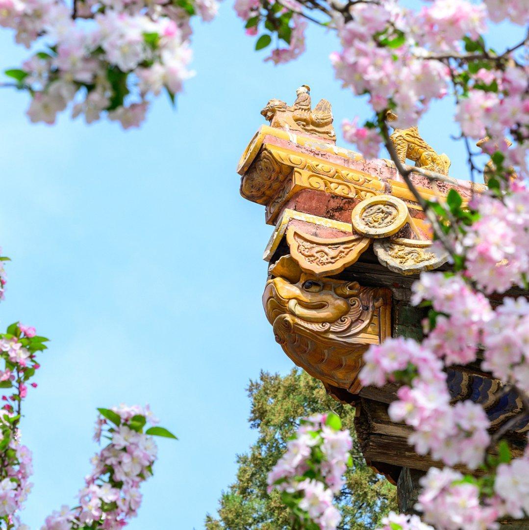 语文第四模拟答题卡