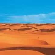 阿拉伯歌曲选(Hi-Fi)