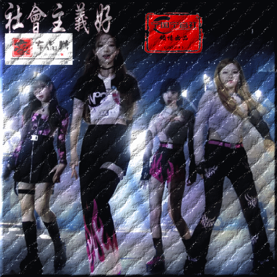社会主义好 DJ版 - 余意封面