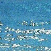 今天也恭喜发财