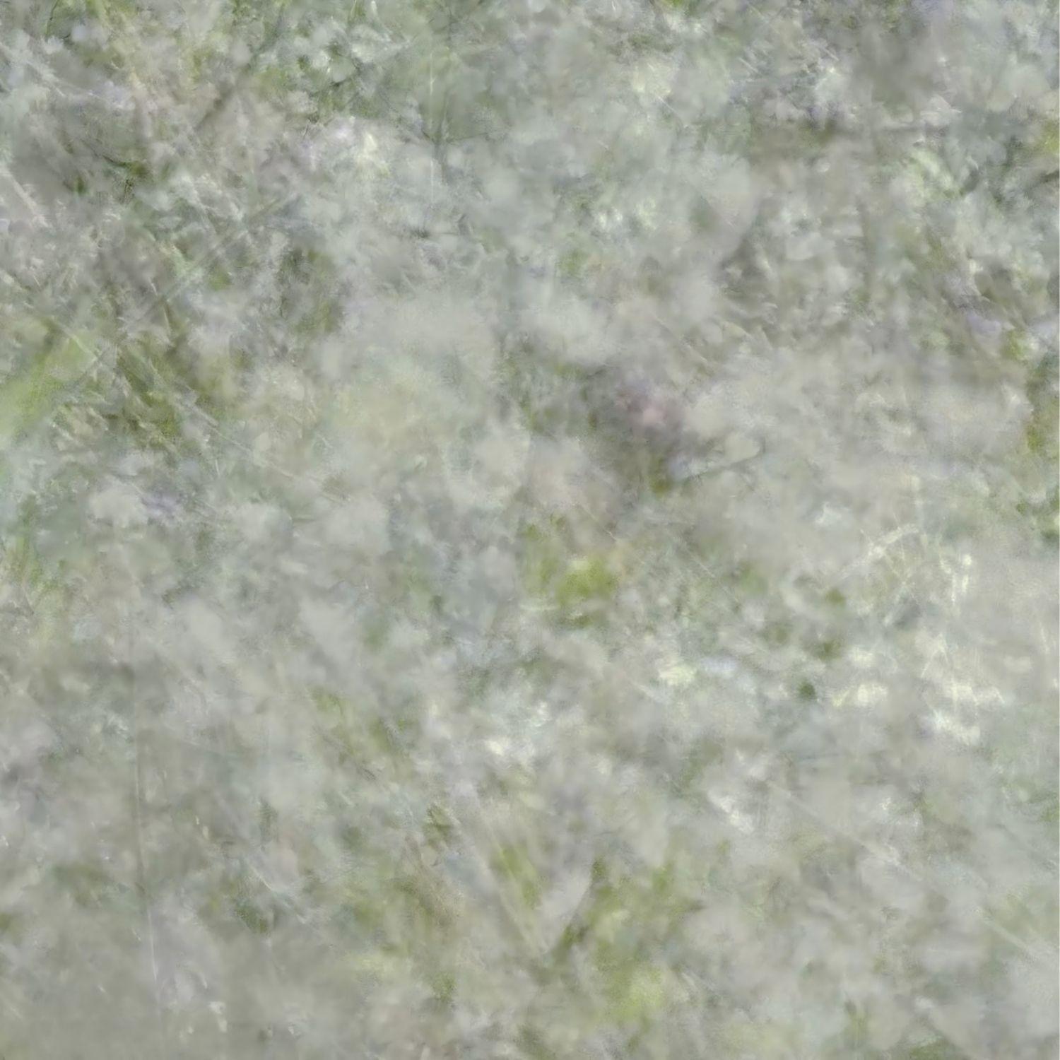 梦春雪