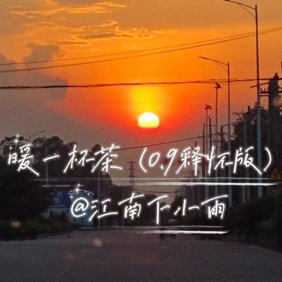 暖一杯茶0.9释怀版(cover邵帅）封面