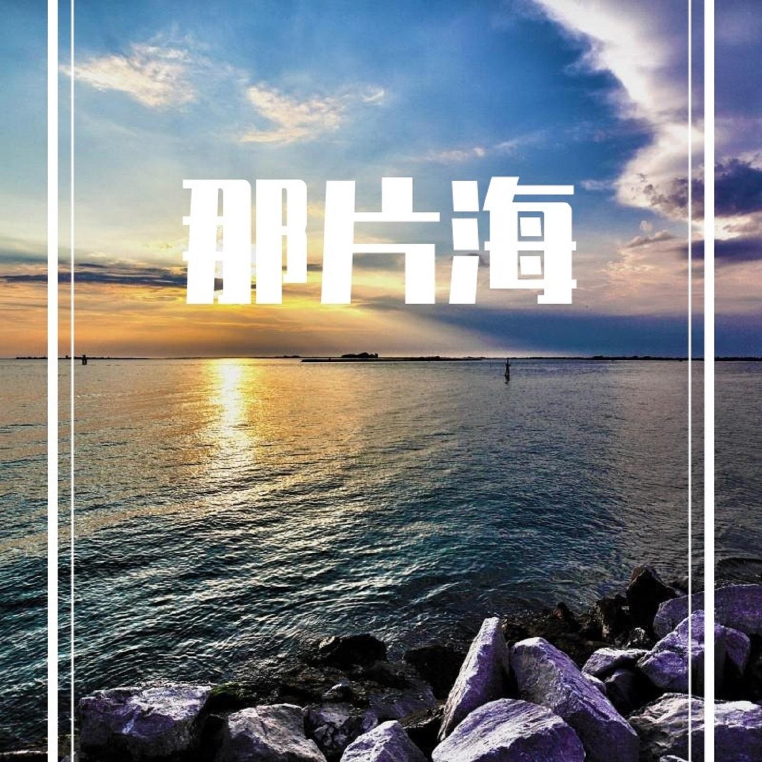 哭泣站台 (烟嗓版)封面