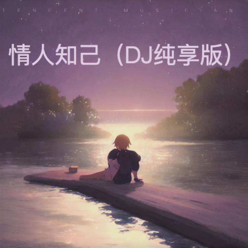 情人知己 (DJ纯享版)封面