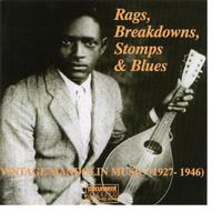 Rags, Breakdowns, Stomps & Blues