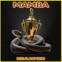 Mamba