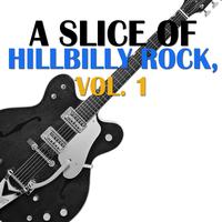 A Slice of Hillbilly Rock, Vol. 1