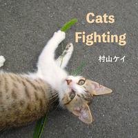 Cats Fighting