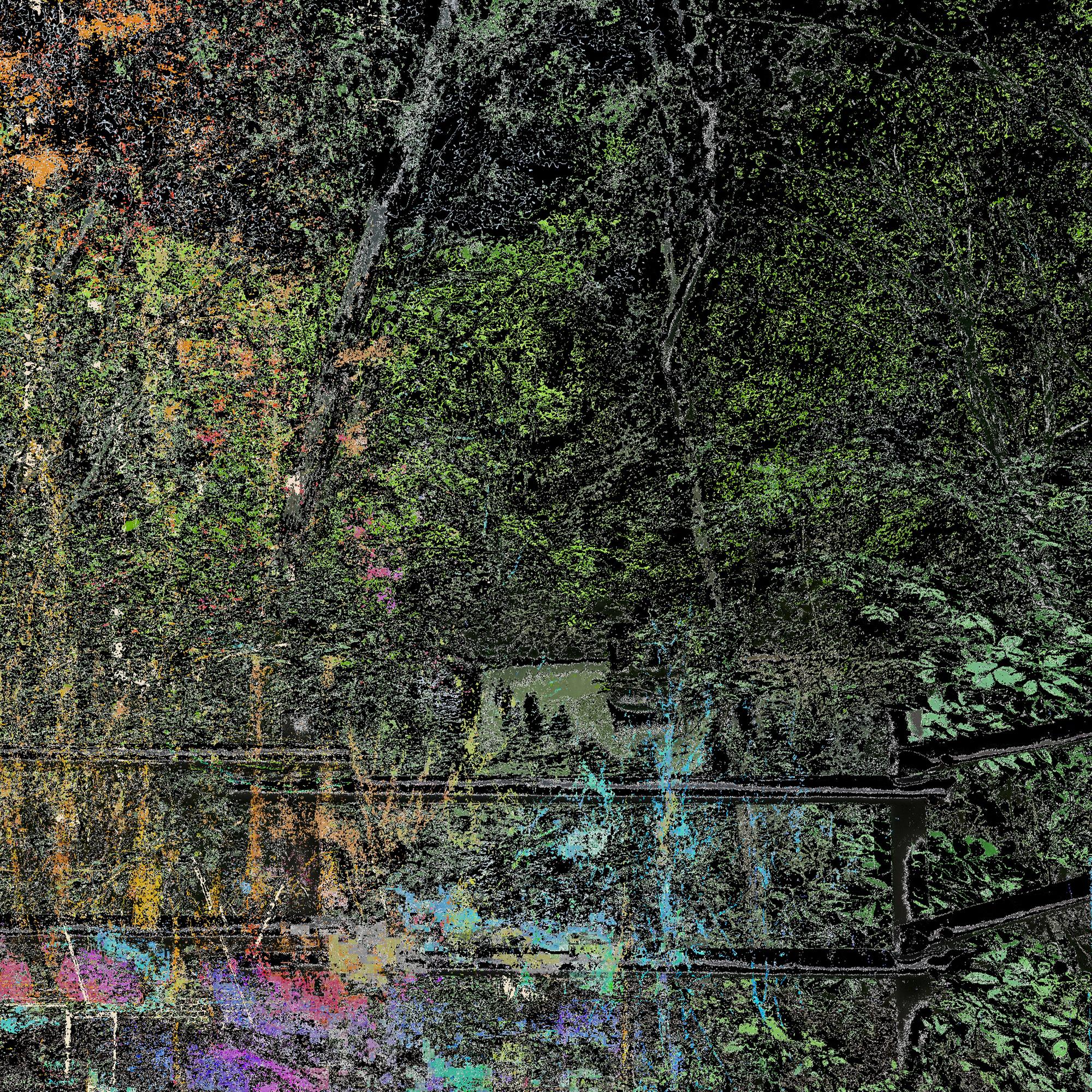 그곳에는 낭만이 있다 (Soft Bruise)