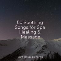 50 Soothing Songs for Spa Healing & Massage