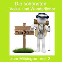 Top 30: Die schönsten Volks- Und Wanderlieder zum Mitsingen, Vol. 2