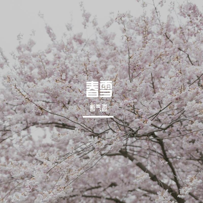 春雪封面